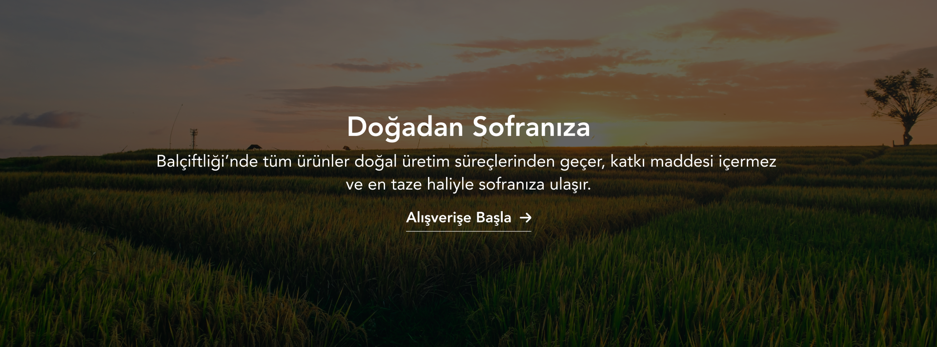 Doğadan sofranıza temalı tarla görseli